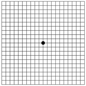 Amsler Grid - Retina-Vitreous Surgeons of CNY